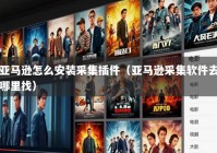 亚马逊怎么安装采集插件（亚马逊采集软件去哪里找）