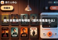 图片采集插件有哪些（图片采集是什么）
