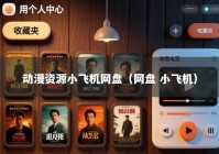 动漫资源小飞机网盘（网盘 小飞机）